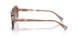 634068 - Tortoise - Gradient Violet