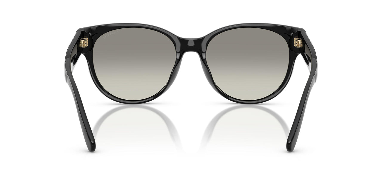 50023C - Black - Grey Gradient