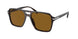 16N0B0 - Tortoise - Brown