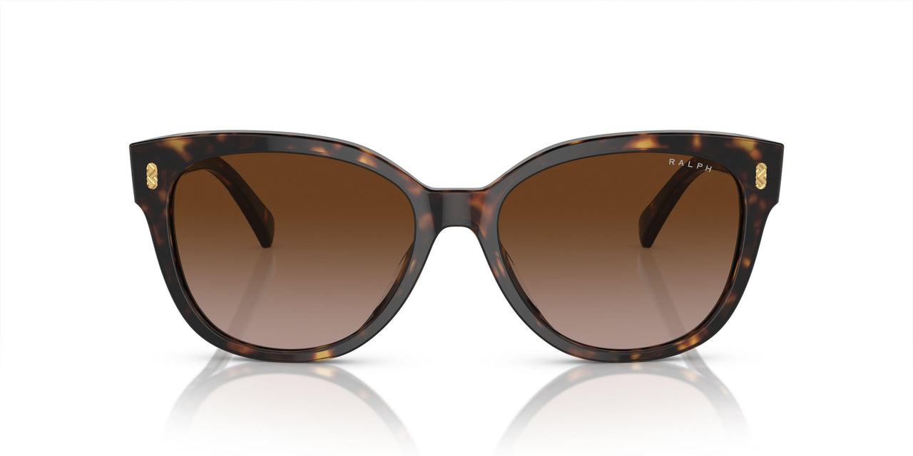 500313 - Black - Gradient Brown