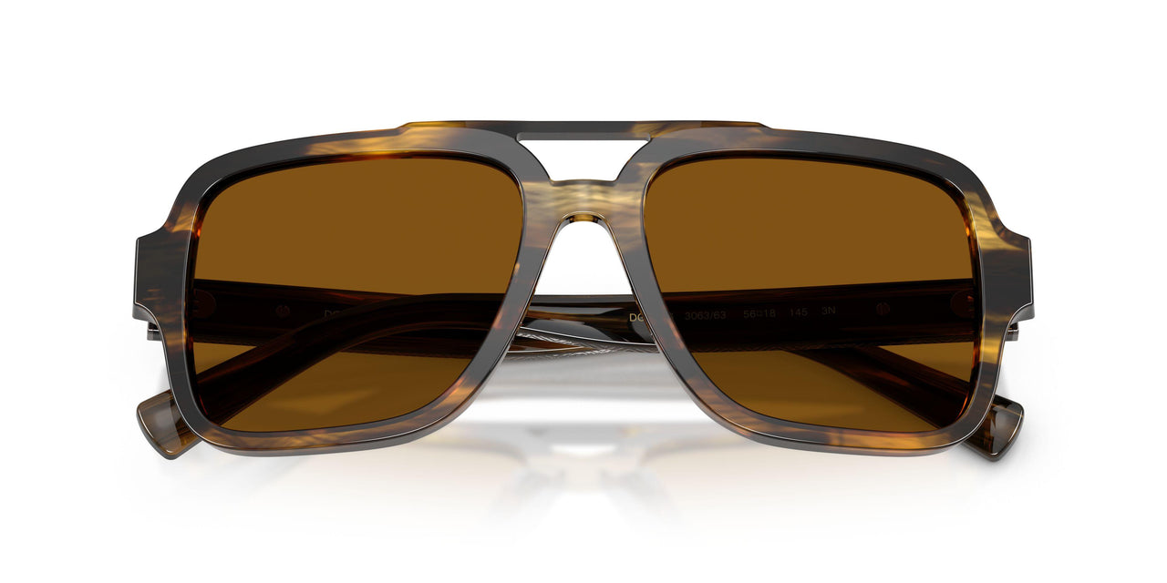 306363 - Tortoise - Brown