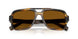 306363 - Tortoise - Brown