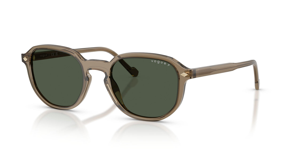 32939A - Brown - Dark Green Polar