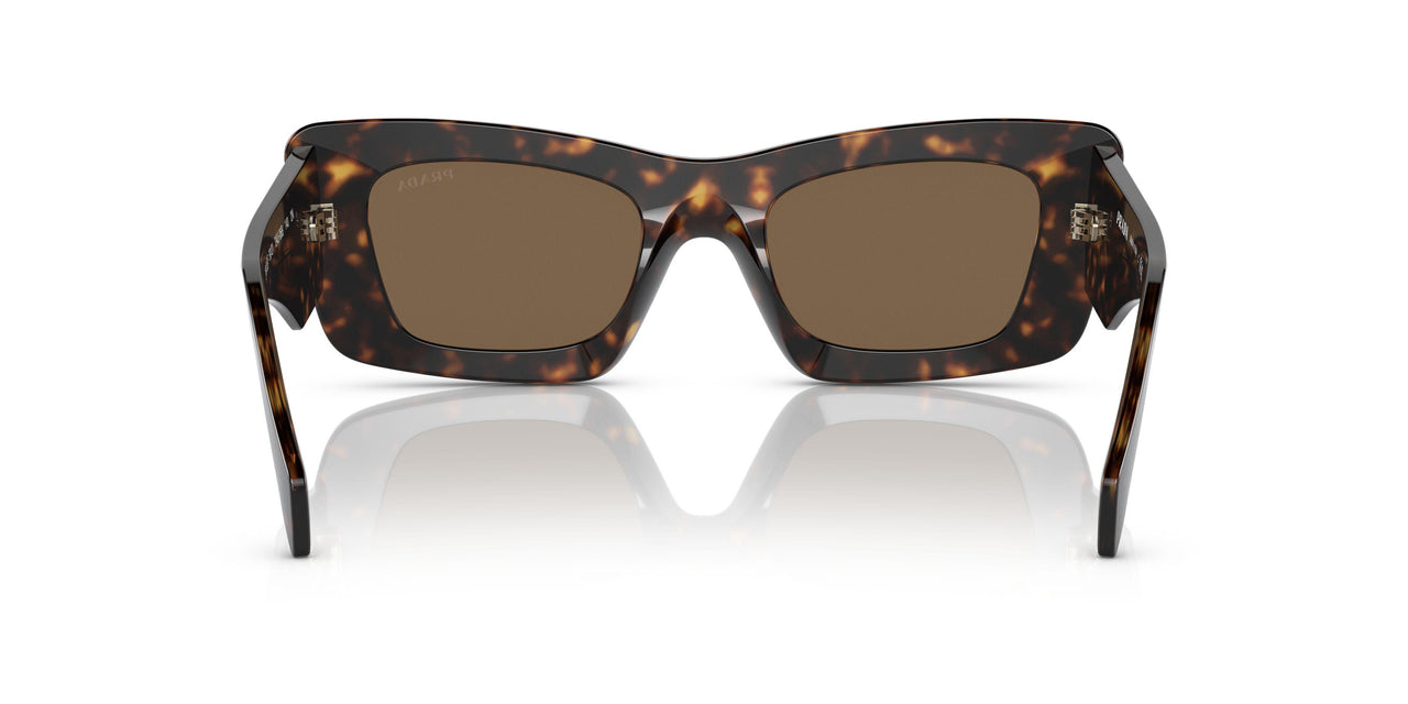 2AU06B - Havana - Dark Brown