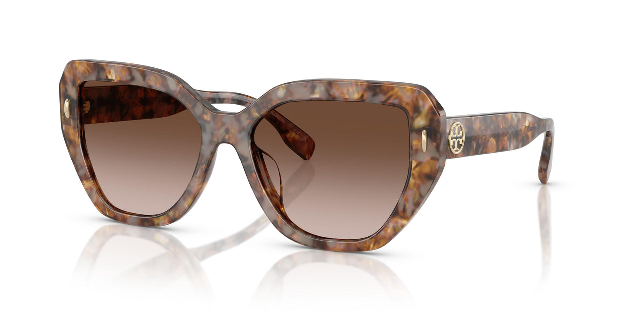 197513 - Tortoise - Brown Gradient