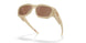 951409 - Brown - Prizm Tungsten Polarized
