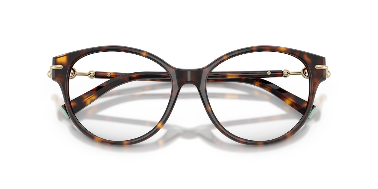 8015 - Tortoise