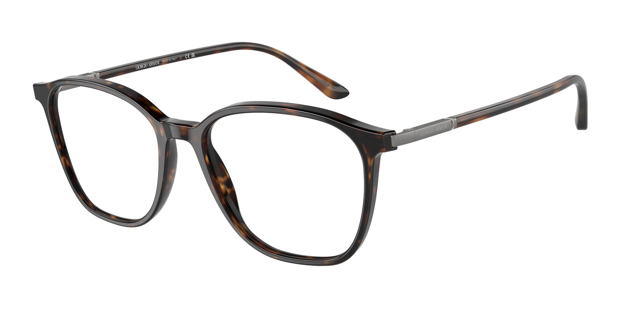 5026 - Tortoise
