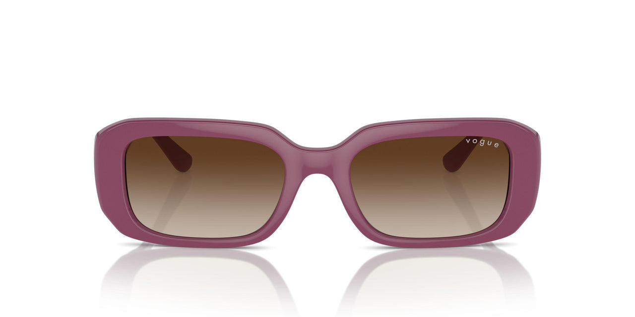 312313 - Violet - Brown Gradient