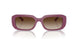 312313 - Violet - Brown Gradient