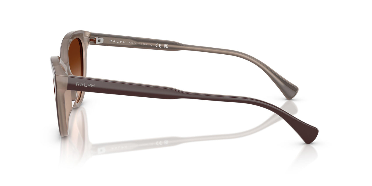 606574 - Brown - Gradient Brown