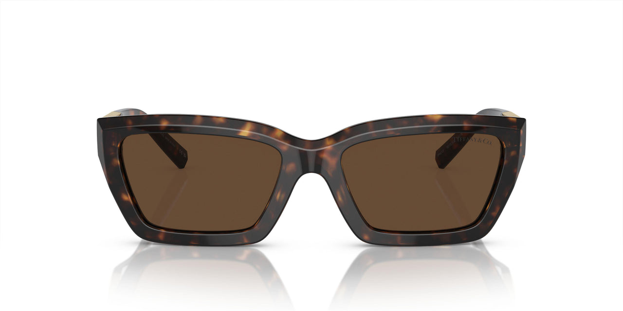80153G - Tortoise - Light Brown