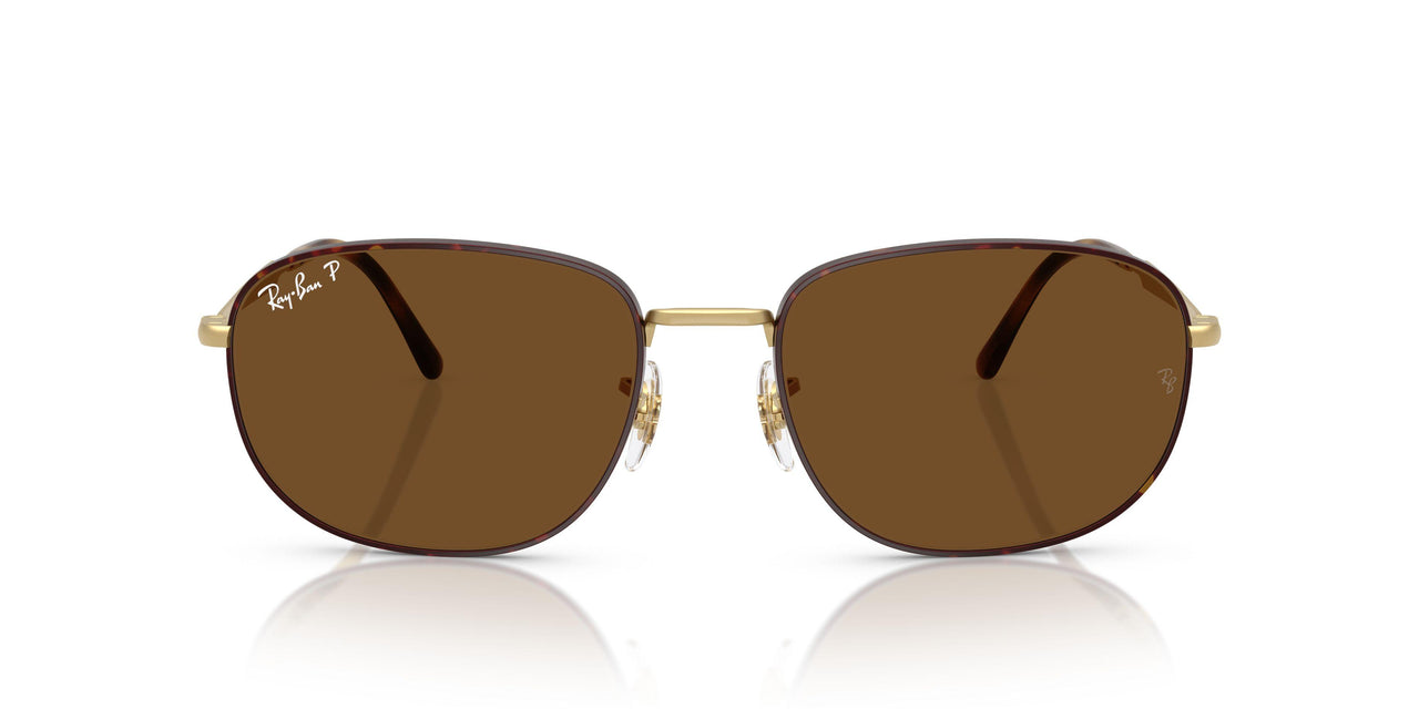 927557 - Havana - Polar Brown