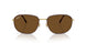 927557 - Havana - Polar Brown