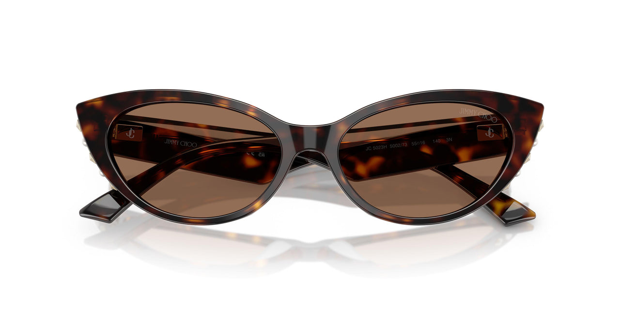 500273 - Tortoise - Dark Brown