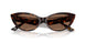 500273 - Tortoise - Dark Brown