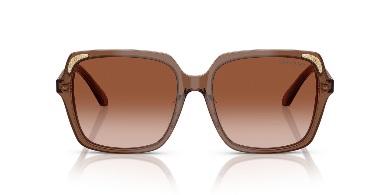 106713 - Brown - Gradient Brown