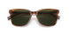 558171 - Light Brown - Dark Green Solid