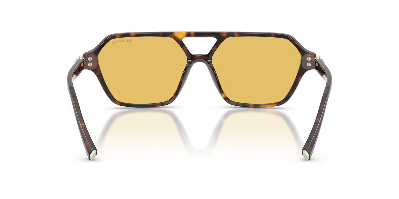 801585 - Tortoise - Yellow