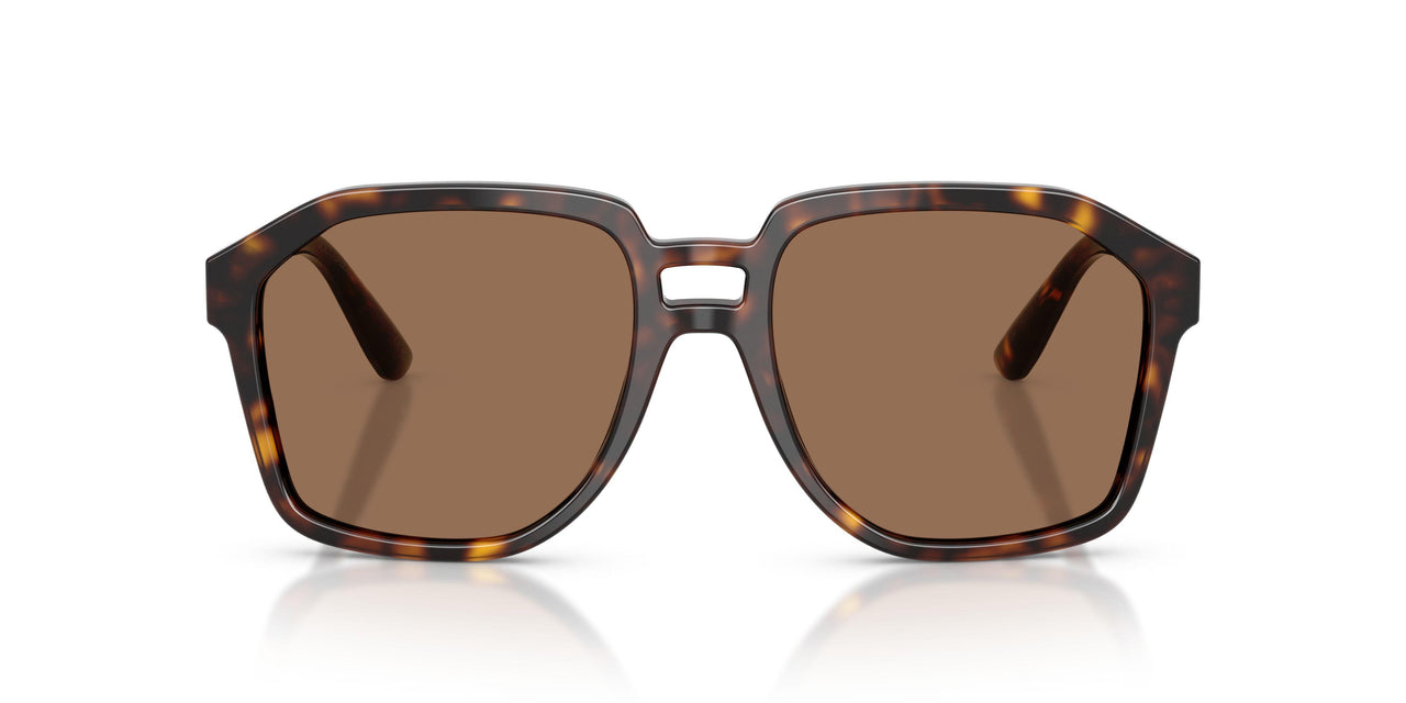 502/73 - Tortoise - Dark Brown