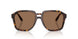 502/73 - Tortoise - Dark Brown