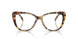 5004 - Brown