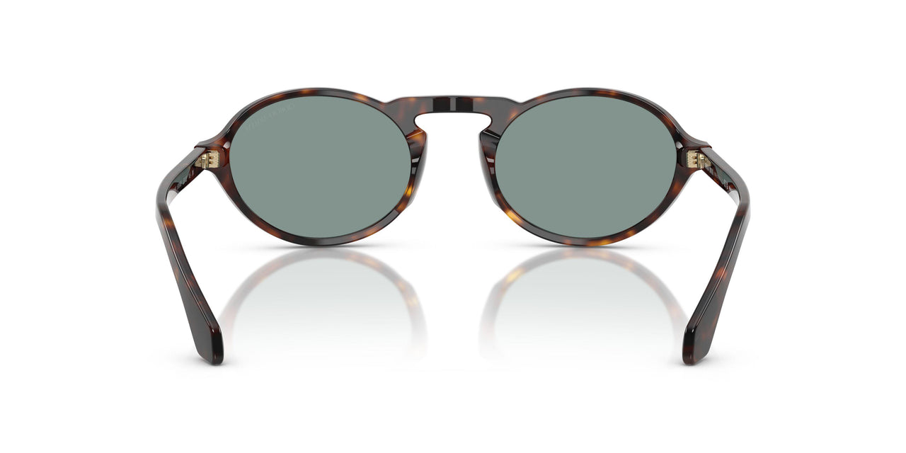 587956 - Tortoise - Grey