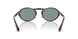 587956 - Tortoise - Grey