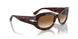 24/51 - Tortoise - Clear Gradient Brown