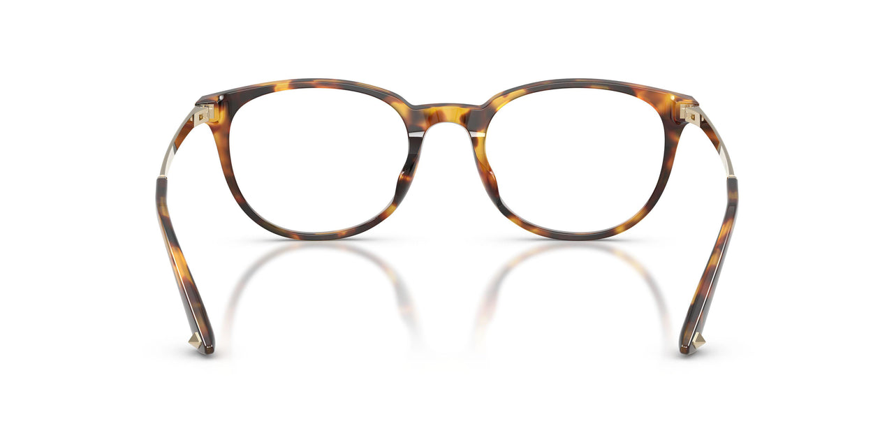 5110 - Tortoise