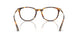 5110 - Tortoise