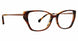 TBR - Tortoise/Brown