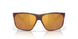 912806 - Tortoise - Gold Mirror
