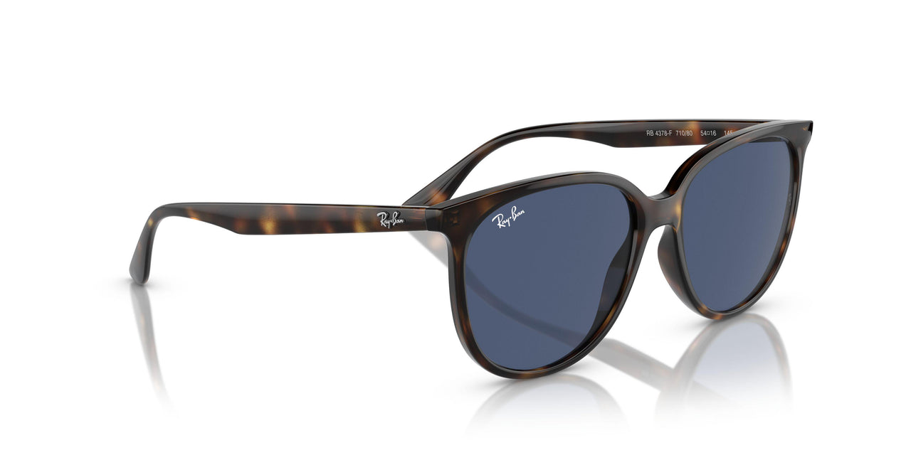 710/80 - Tortoise - Dark Blue