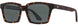 2 - Amber Tortoise - True-Tone Green
