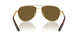 1BK01T - Gold - Dark Brown