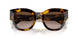 VAU6S1 - Tortoise - Brown Gradient