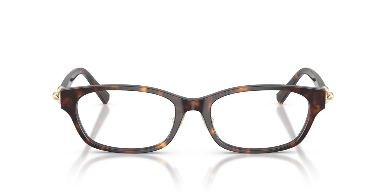 8015 - Tortoise