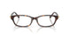 8015 - Tortoise