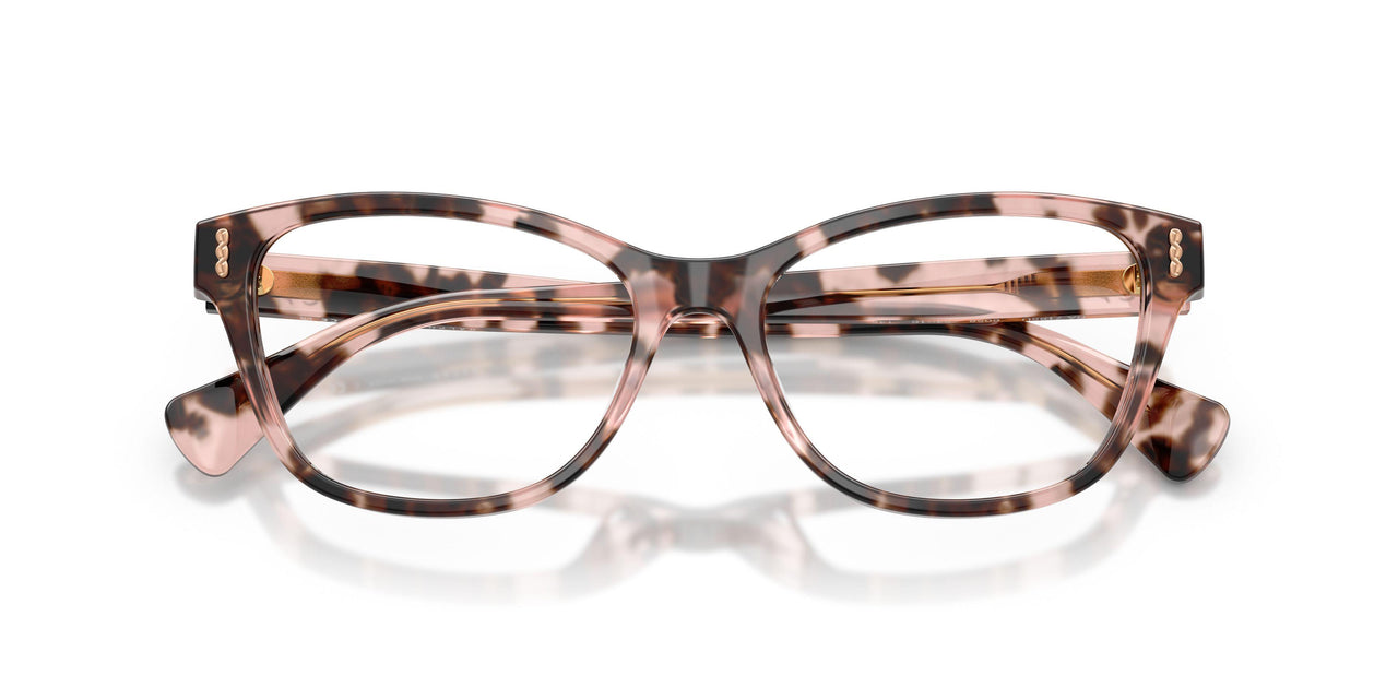 6058 - Tortoise