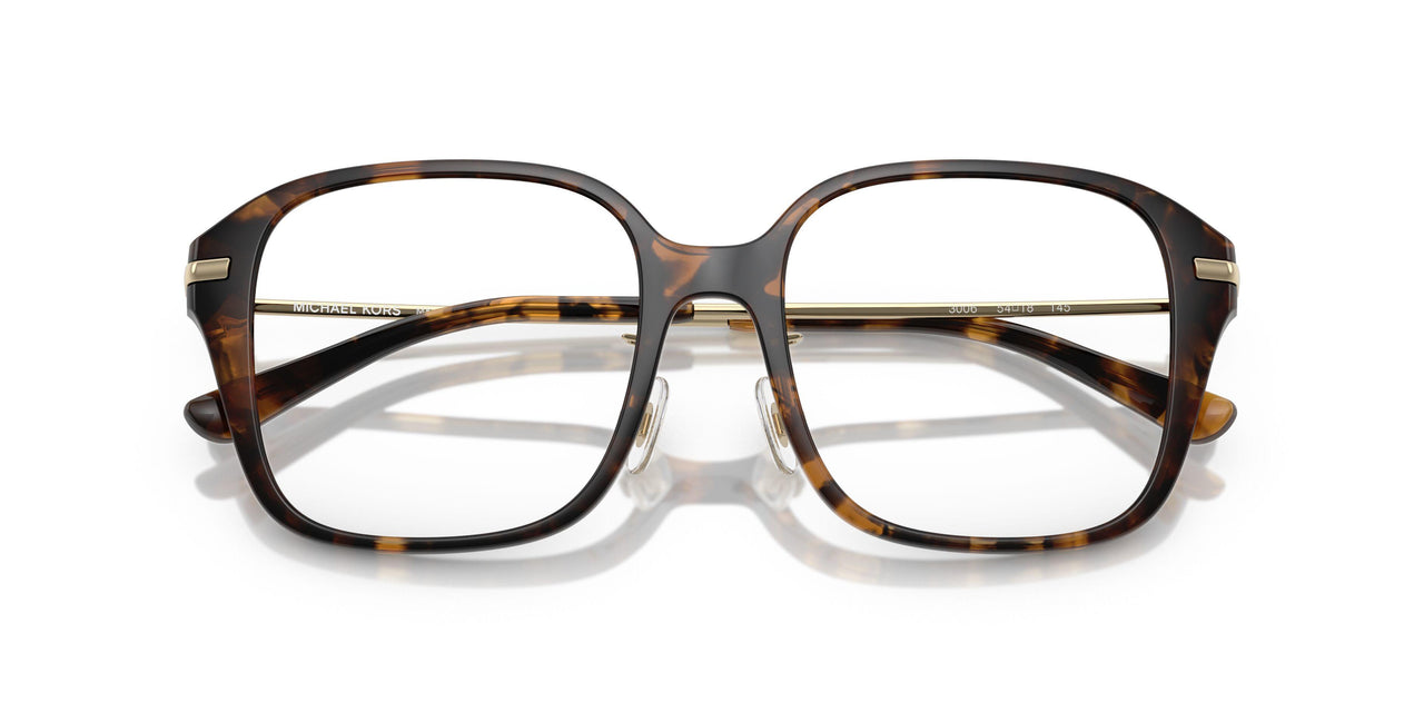 3006 - Tortoise