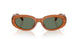 29L70L - Brown - Green