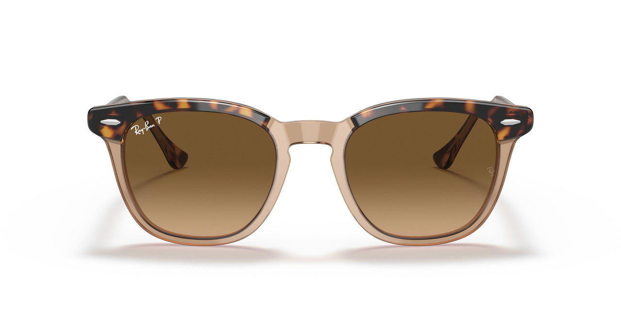 1292M2 - Havana - Brown Gradient Polar