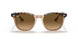 1292M2 - Havana - Brown Gradient Polar