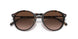 W65613 - Havana - Gradient Brown