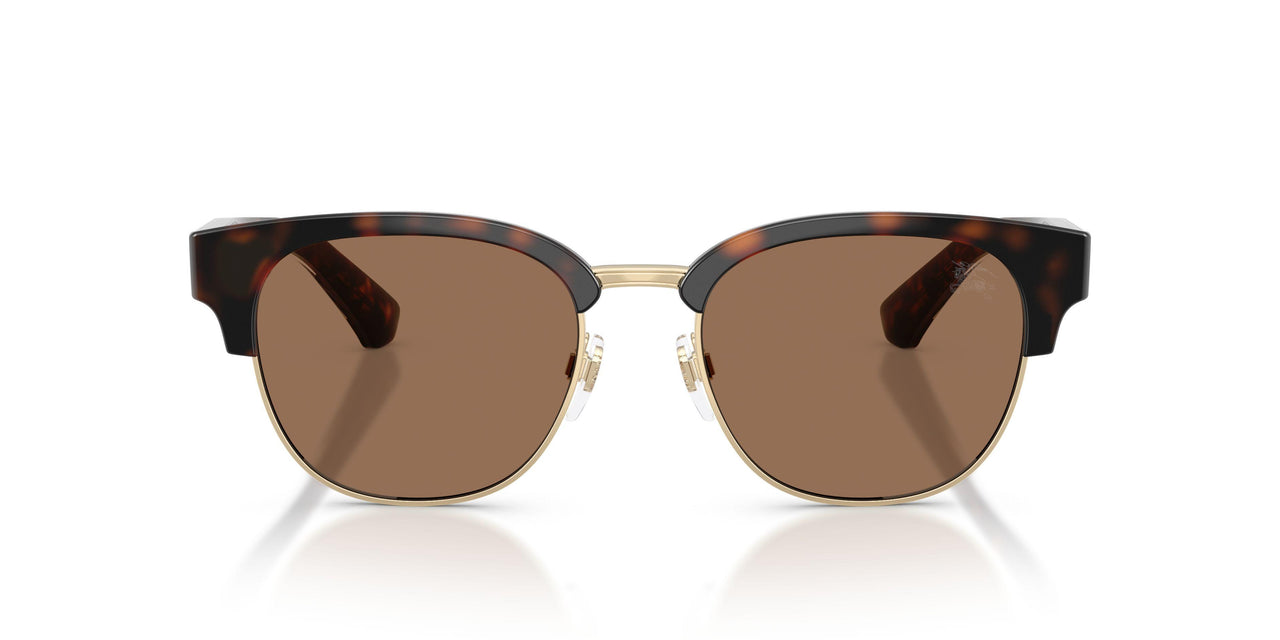 420573 - Brown - Dark Brown