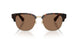 420573 - Brown - Dark Brown