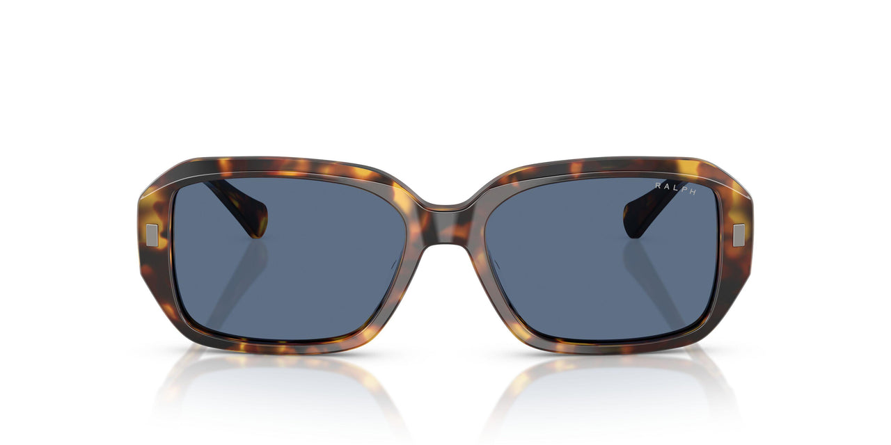513480 - Tortoise - Dark Blue