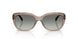 294011 - Brown - Gradient Grey