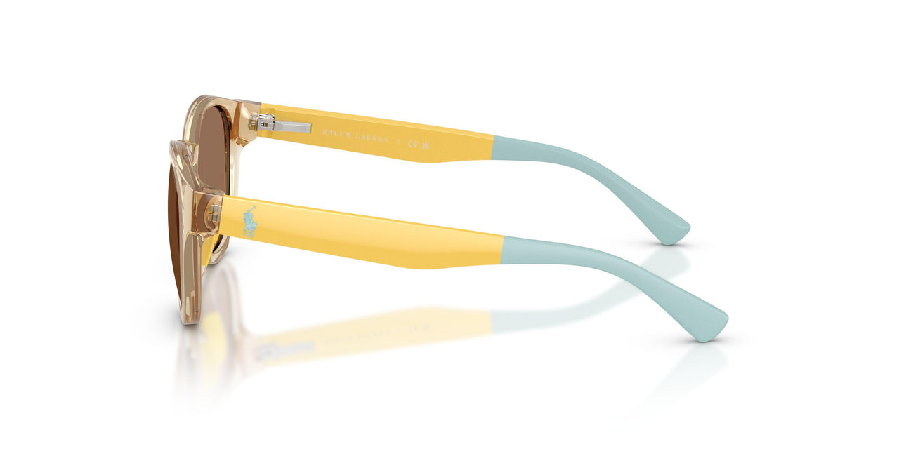 575673 - Yellow - Dark Brown